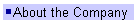 About the Company